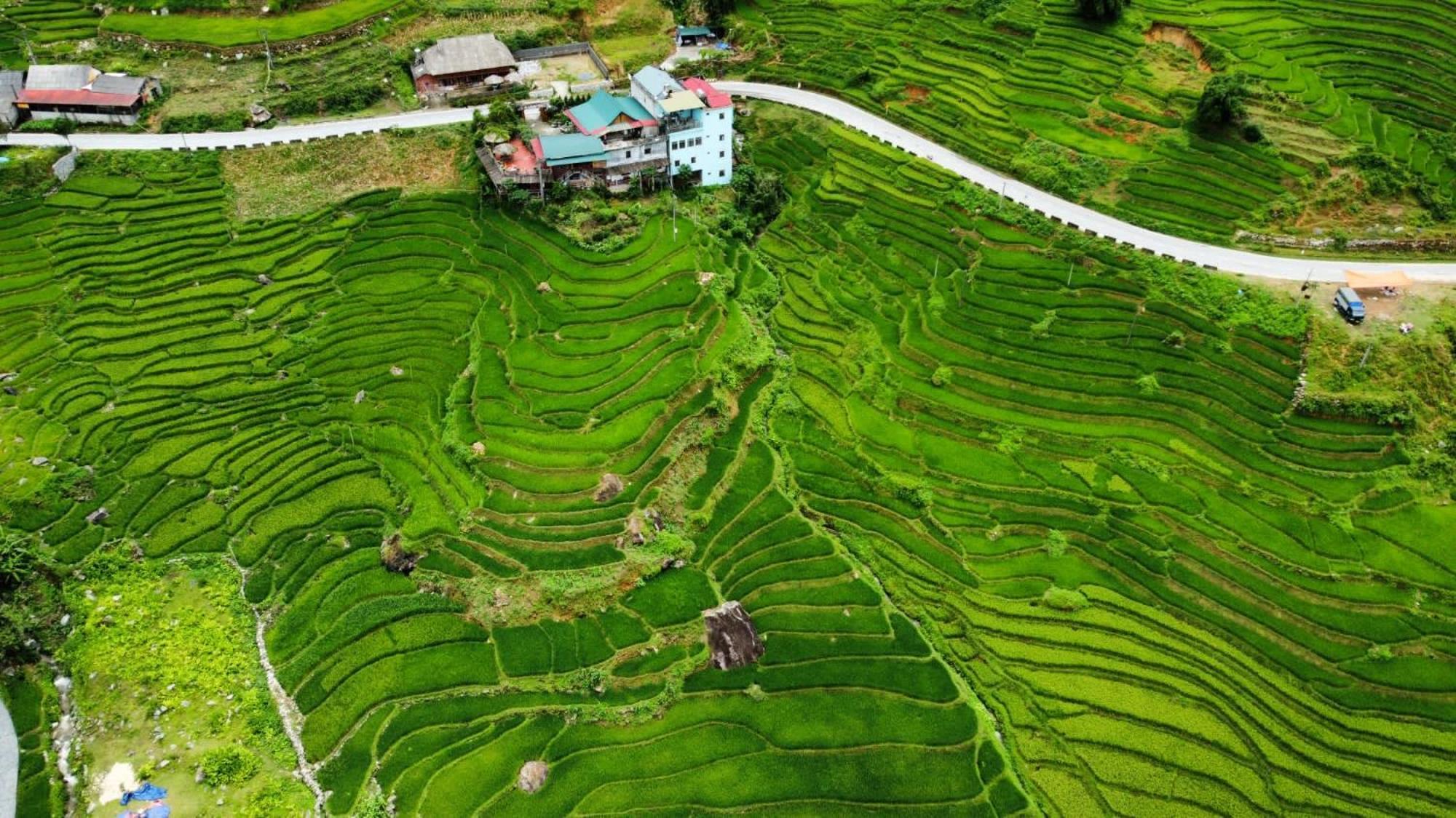 Hoa'S Homestay Sapa المظهر الخارجي الصورة