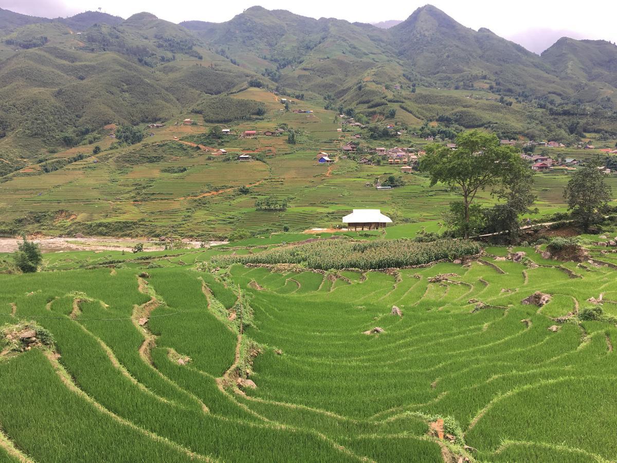 Hoa'S Homestay Sapa المظهر الخارجي الصورة