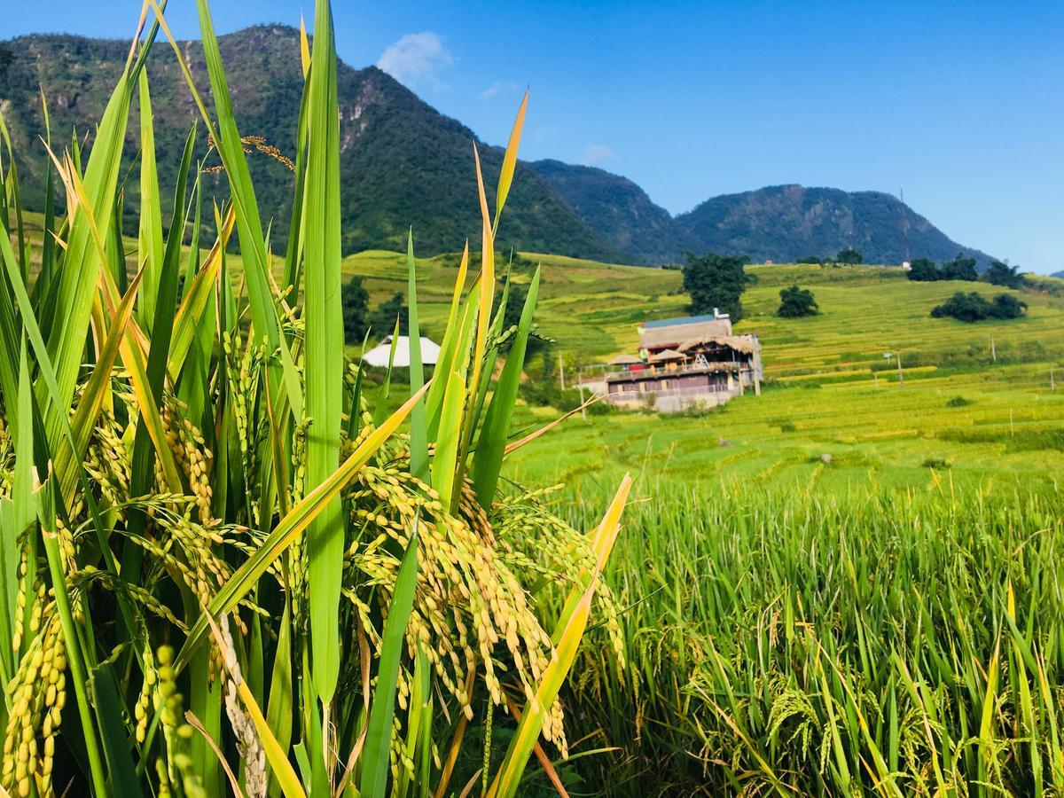 Hoa'S Homestay Sapa المظهر الخارجي الصورة