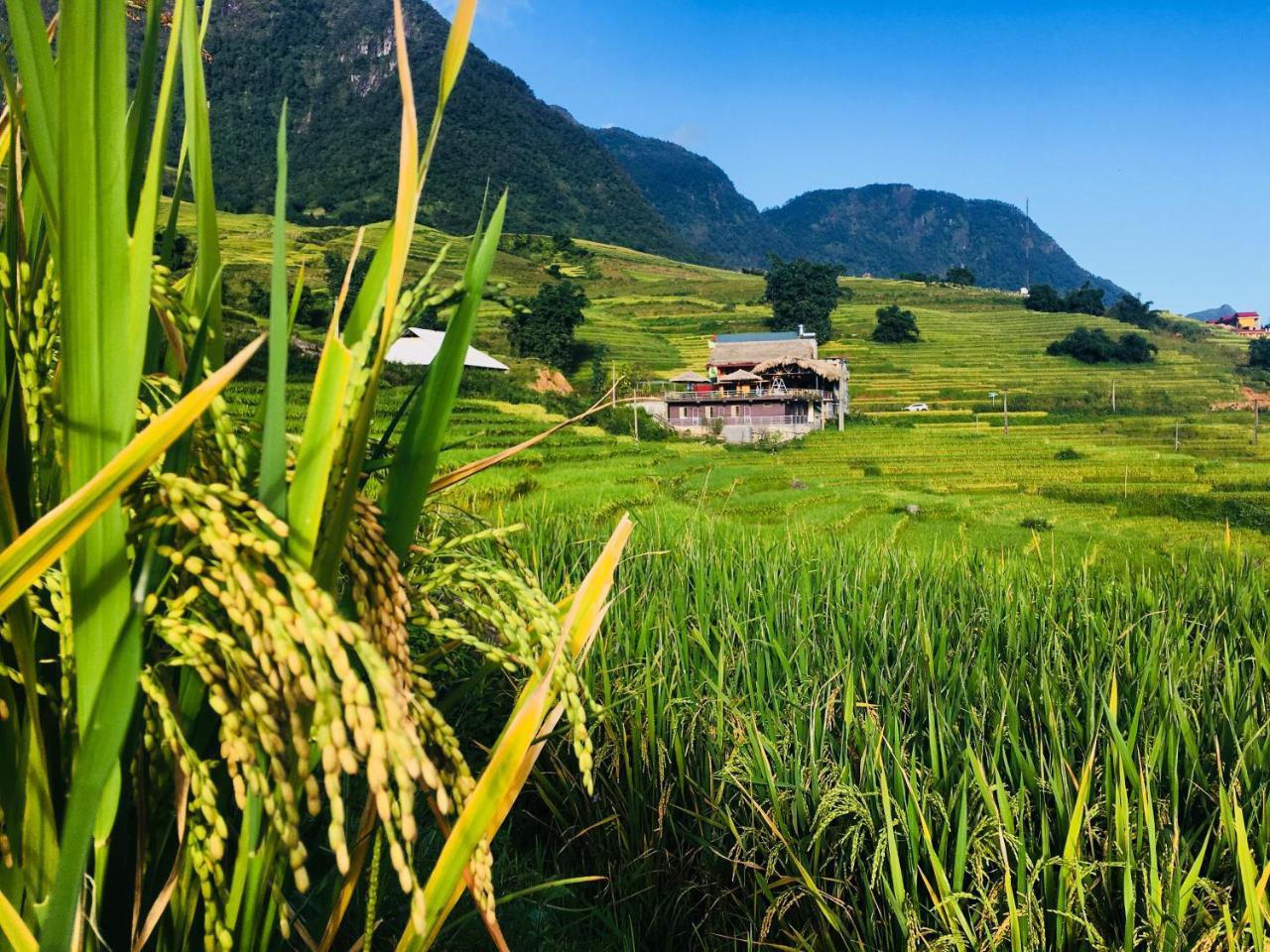 Hoa'S Homestay Sapa المظهر الخارجي الصورة